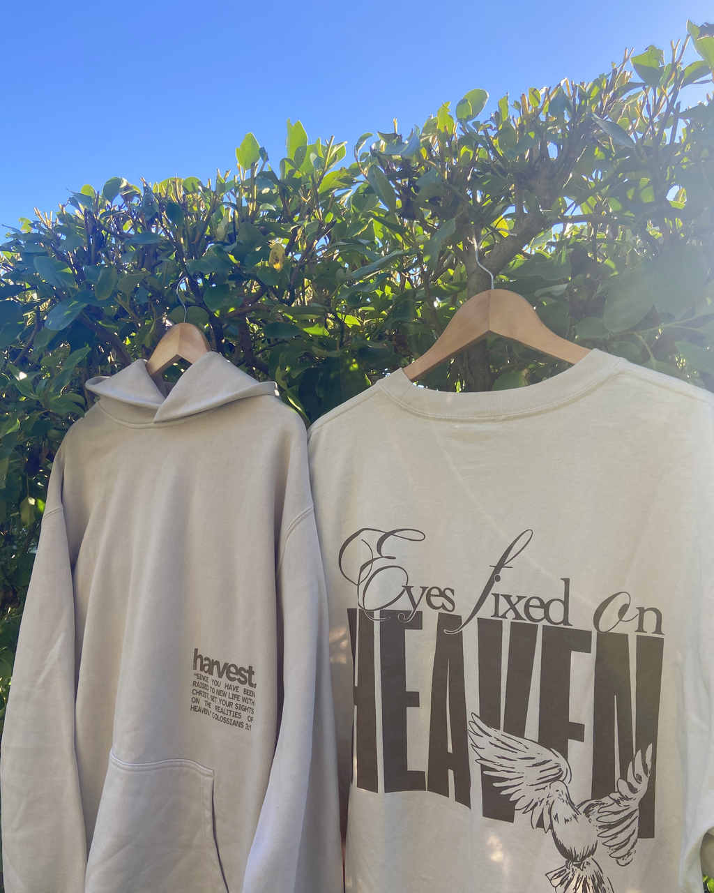 EYES FIXED HOOD - B&M
