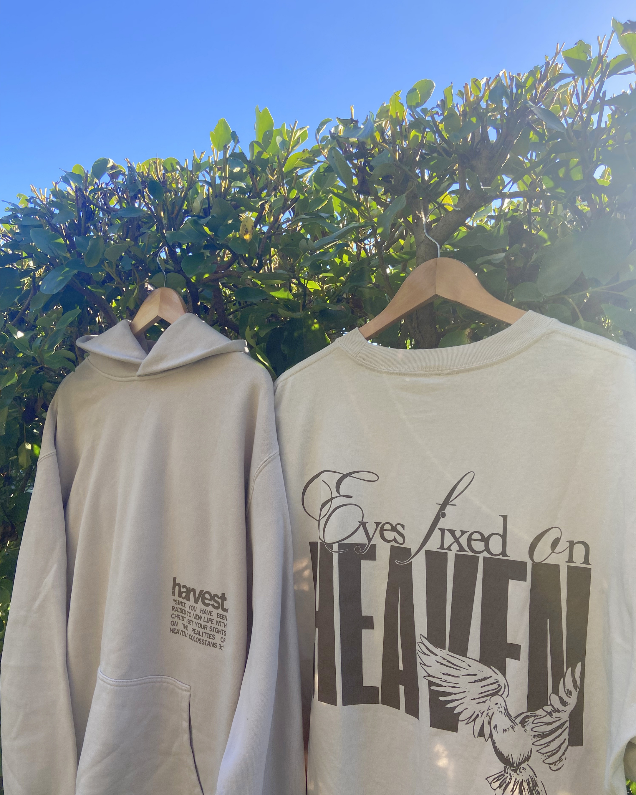 EYES FIXED HOOD - B&M