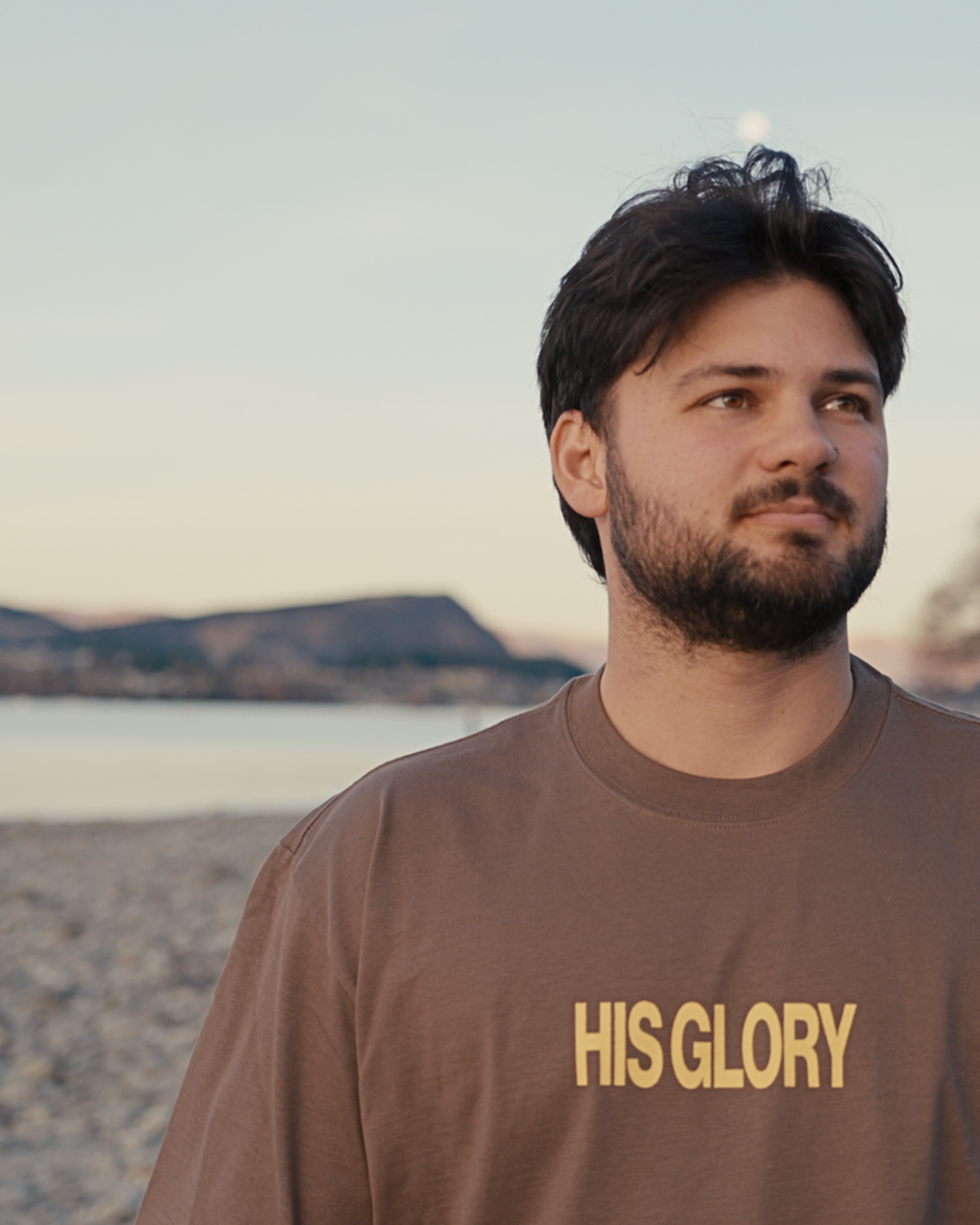 HIS GLORY BOX TEE - WALNUT